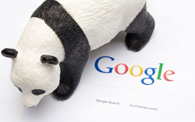 Company Websites Under Google Penalty – What To Do