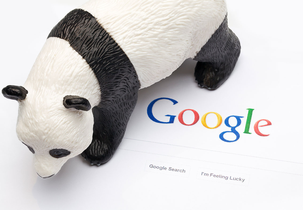 google panda update and deceptive practices